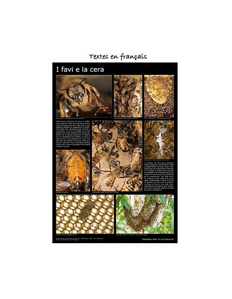 POSTER "LES CADRES ET LA CIRE" 60X90CM LEGA