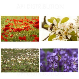 KIT DE 4 POSTERS DECORATIFS 70x49CM de E. Tourneret