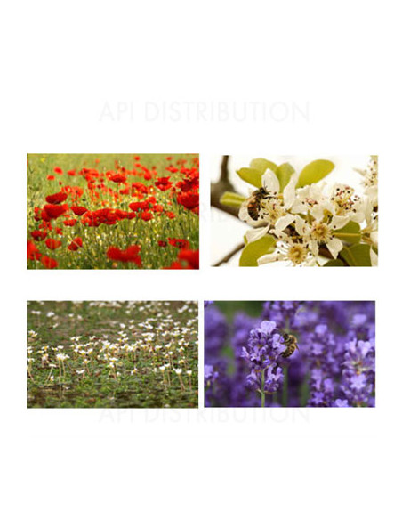 KIT DE 4 POSTERS DECORATIFS 70x49CM de E. Tourneret