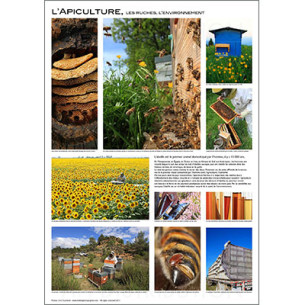 POSTER "L'APICULTURE" de E. Tourneret