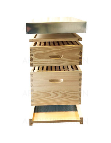 RUCHE DADANT 10 CADRES FOND GRILLAGE A TENONS CADRES HOFFMANN