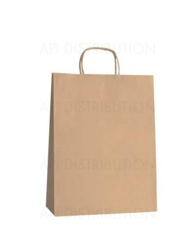 SAC KRAFT POIGNEES TORSADEES 22X10x30CM