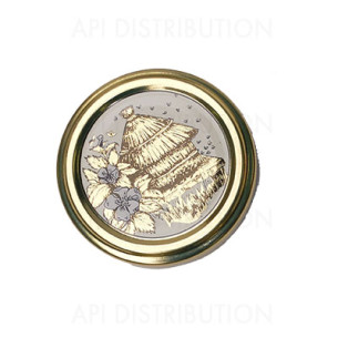 CAPSULES TO 82 RUCHE BRILLANTE /100