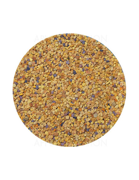 POLLEN SEC FRANCAIS PRIX AU KG LOT IN6407/24  DDM 07/2026