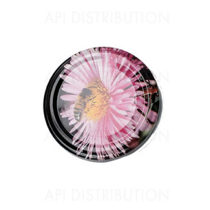 CAPSULES TO 63  FLEUR ABEILLES /100