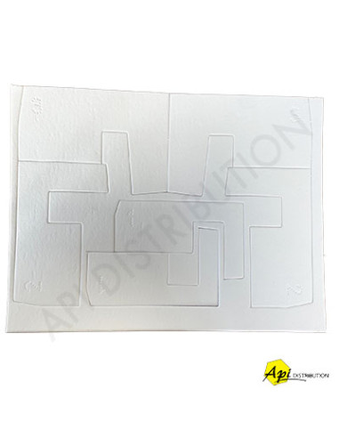 MECHES BUVARD POUR DIFFUSEUR PRO NASSENHEIDER