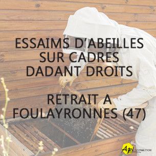 ACOMPTE RÉSERVATION ESSAIM DROIT 2026 - RETRAIT FOULAYRONNES (47)