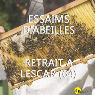 ACOMPTE RÉSERVATION ESSAIM...