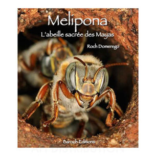 MELIPONA L ABEILLE SACREE DES MAYAS - R. DOMEREGO