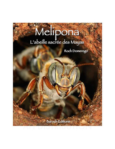 MELIPONA L ABEILLE SACREE DES MAYAS - R. DOMEREGO