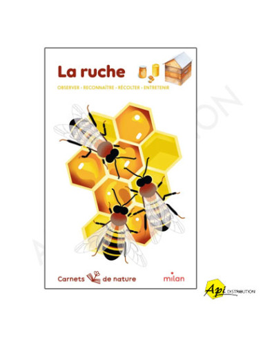 LA RUCHE - CARNETS DE NATURE (DES 8 ANS)