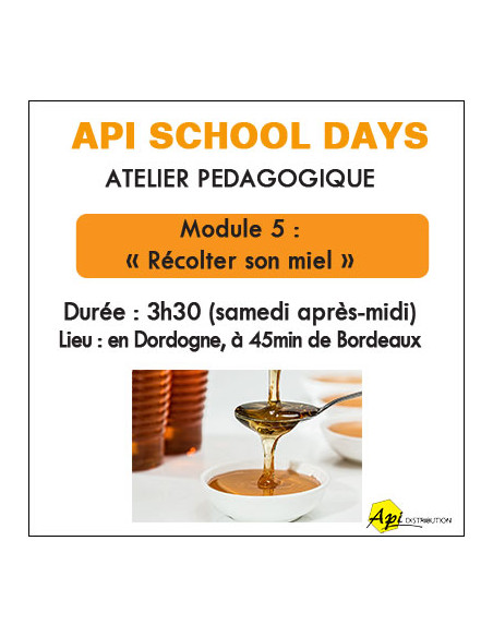 ATELIER RÉCOLTER SON MIEL 20 JUIN 2026