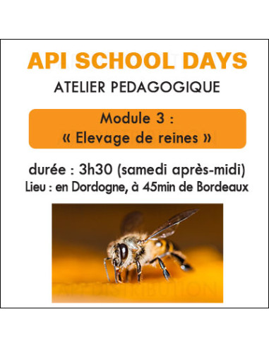 ATELIER ÉLEVAGE DE REINES 9 MAI 2026
