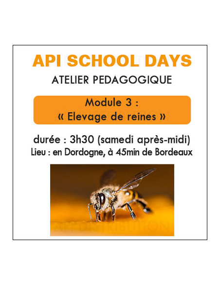 ATELIER ÉLEVAGE DE REINES 9 MAI 2026
