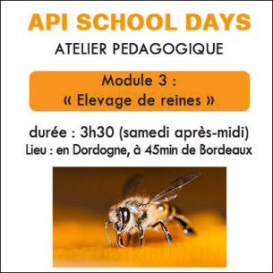 ATELIER ÉLEVAGE DE REINES 30 MAI 2026
