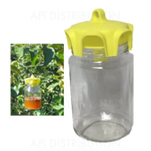 PIEGES VASO TRAP POUR FRELONS ASIATIQUES  PAR 4