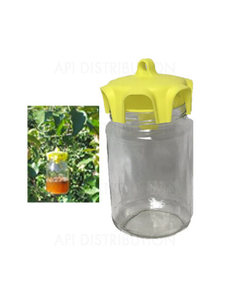 PIEGES VASO TRAP POUR FRELONS ASIATIQUES  PAR 4
