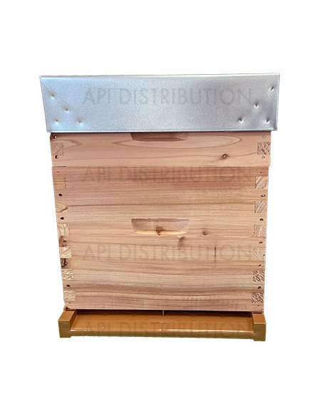 RUCHE DADANT 10 EN CRYPTOMERIA A TENONS POUR CADRES HOFFMANN