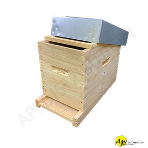 RUCHETTE DADANT TENONS CRYPTOMERIA 6 CADRES FOND REVERSIBLE POUR CADRES DROITS