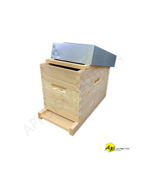 RUCHETTE DADANT TENONS CRYPTOMERIA 6 CADRES FOND REVERSIBLE POUR CADRES DROITS